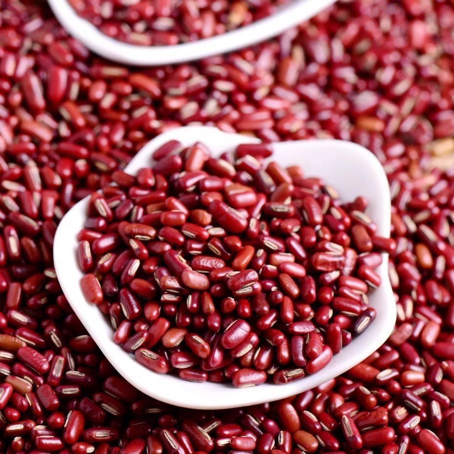 蔬菜|宅家肚子越来越大？有类食物能帮你控制体重