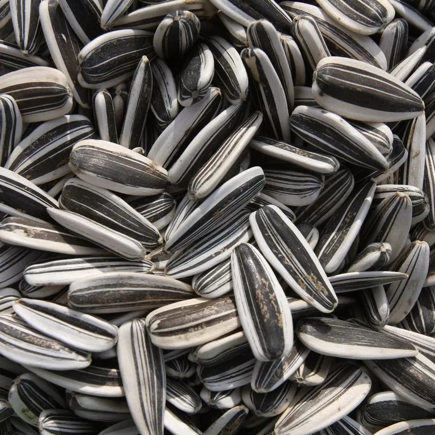 蔬菜|宅家肚子越来越大？有类食物能帮你控制体重