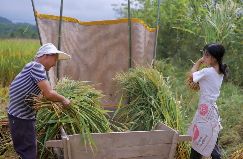 李子柒用自种大米做"月饼",配上"把子肉"堪称一绝,却急为穿着解释