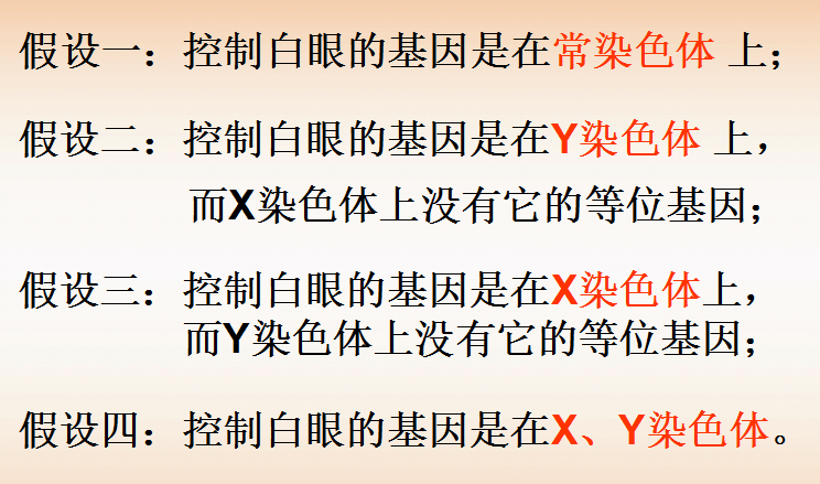 圖六 摩爾根實驗的假設已知果蠅的基因型為xy型,控制眼色的基因紅色