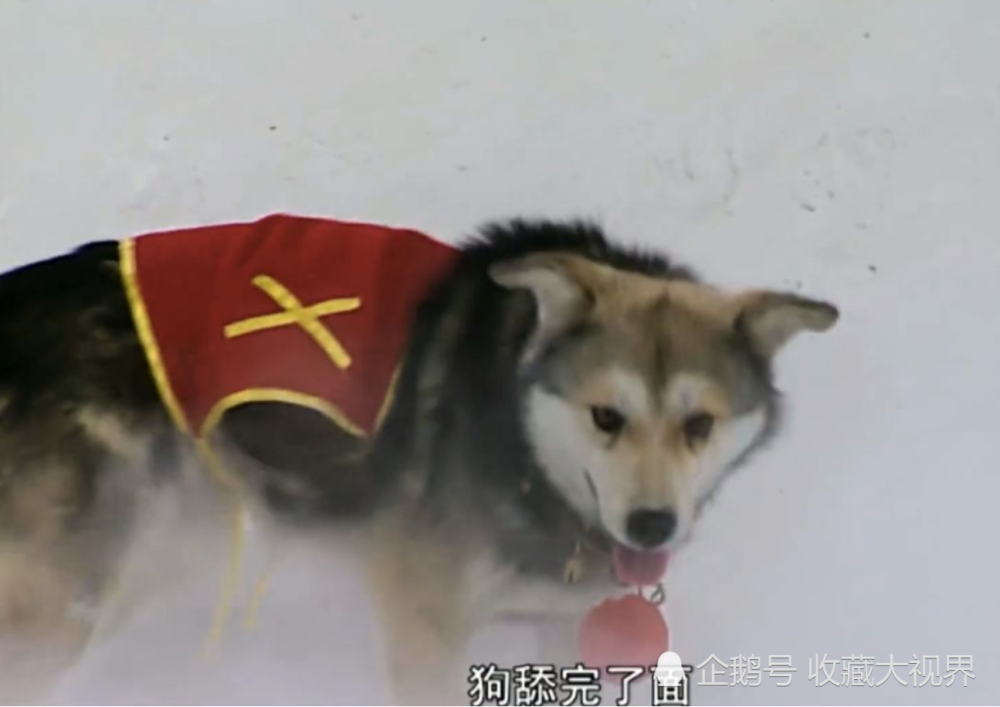孙悟空遇到的难题,鸡吃完米,狗舔完面,火烧断锁,到底要多久?