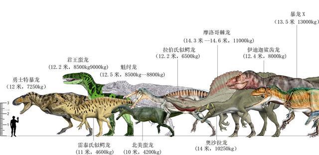 网友绘制各种古生物 合体图 比例鲜明 看看古生物谁大谁小 腾讯新闻