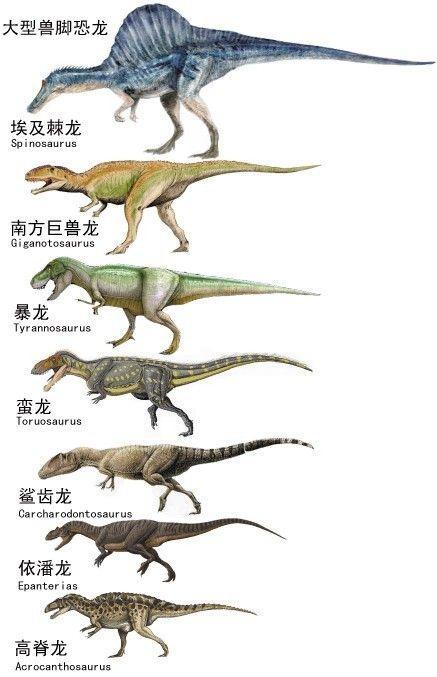 网友绘制各种古生物 合体图 比例鲜明 看看古生物谁大谁小 腾讯新闻