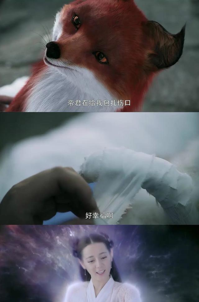 包扎的狐狸在东华帝君下棋的棋盘上,分明摆着一只小狐狸,可见帝君的