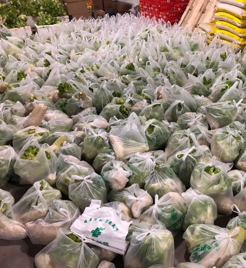 碧湖蔬菜到货了总共两万多斤昨天连夜打包今天将全部送到丽水市民手中