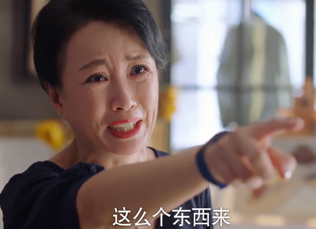 下一站是幸福贺灿阳找小女友不行贺繁星就没事沈红梅偏心