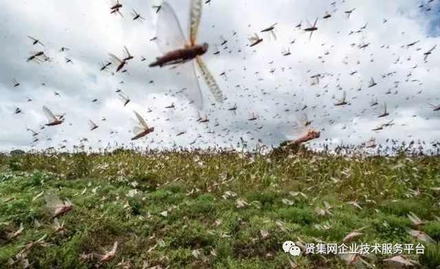 农药2020排名_华昌化工再获2020中国化肥企业100强!(2)
