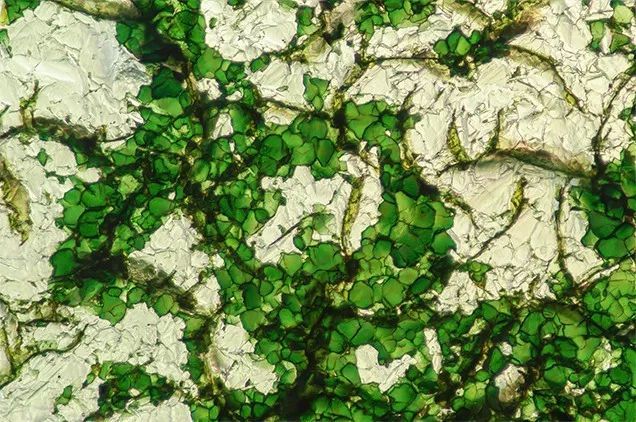 49ct的绿色钻石原石上发现了覆膜,其原理是 拉曼光谱514nm激发下可见