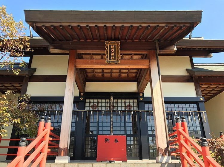 赐予美丽 为猫祈福 这些特殊的日本神社 也许你会想专程前往 腾讯新闻