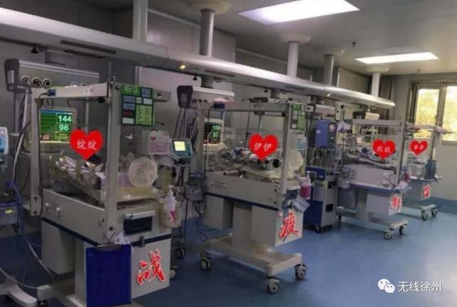 疫情中诞生的四胞胎取名 绽伊欣莘 战疫新生