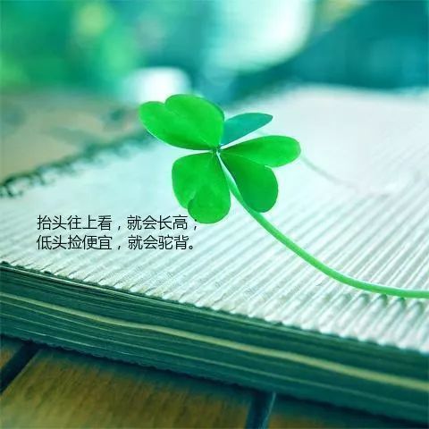 2021发朋友圈最火的走心句子句句唯美入心