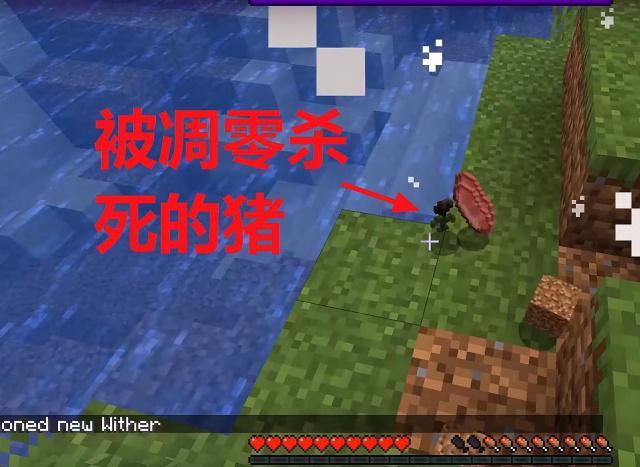 50 Minecraft 花栽培