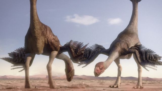 史前巨兽-巨盗龙