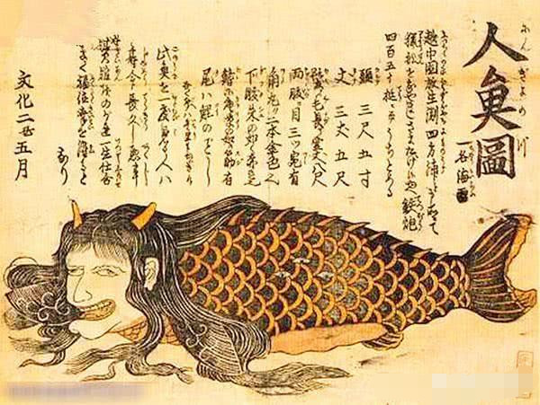 里面的真龙标本和人鱼标本和我们记忆中的大相庭径,甚至可以说完全是