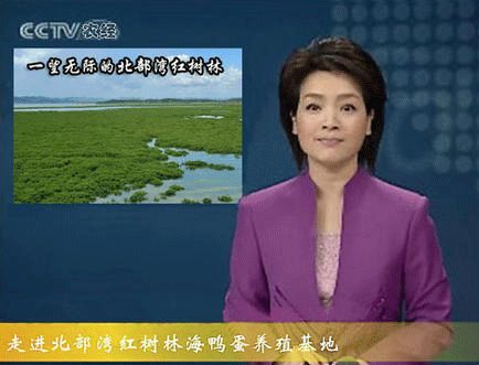 广西南宁塑料膜包装印刷