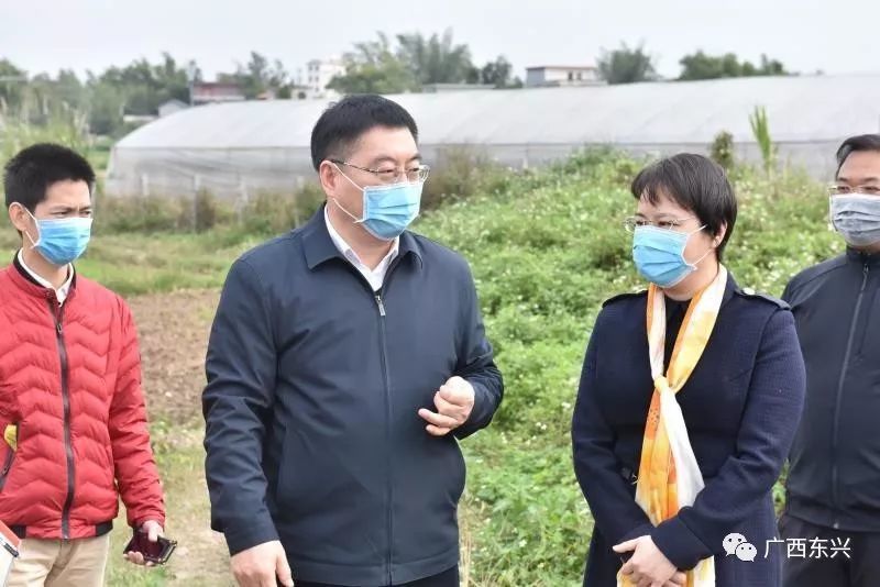 副市长,东兴市委书记唐轶昂,防城港市委常委,秘书长梁宗勇陪同调研