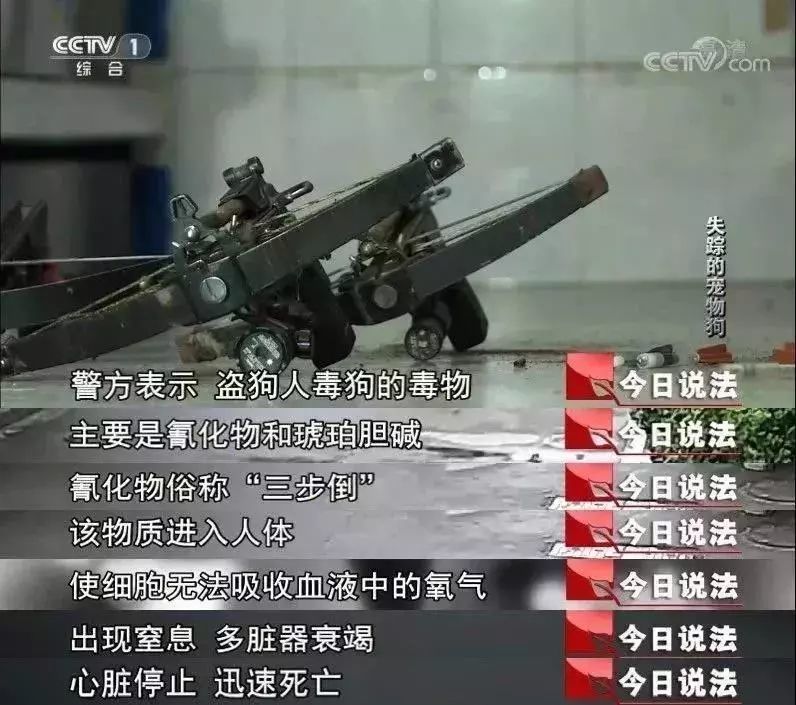医疗大v吃狗肉和牛粪能防治新冠病毒谣言