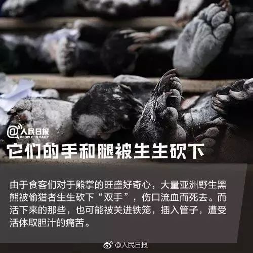 医疗大v吃狗肉和牛粪能防治新冠病毒谣言