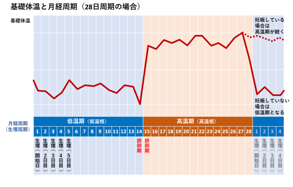 周期 体温 生理