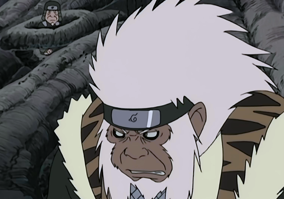 强力通灵兽足以决定战斗胜负,为何卡卡西偏爱八忍犬?原因很简单