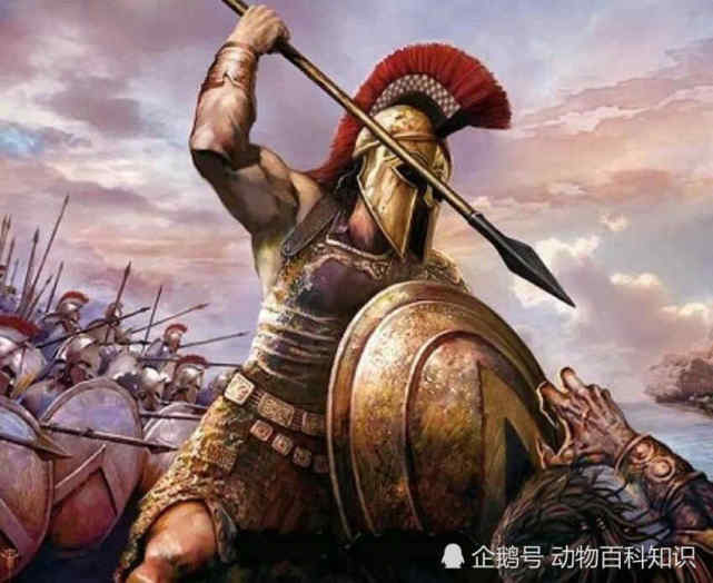 历史上斯巴达人为什么那么强!
