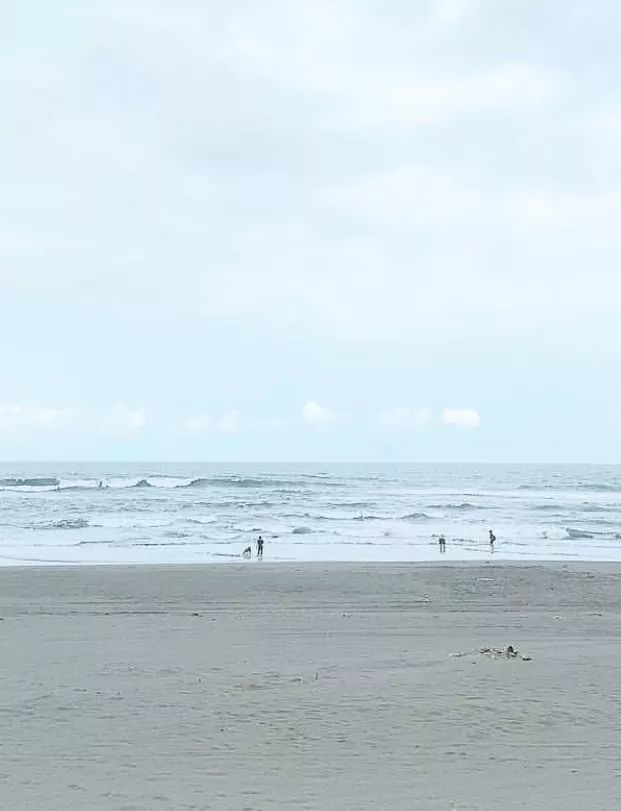 📼打卡「想见你」场景拍摄地！疫情后必去～❤️