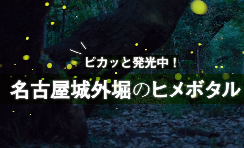 没错 名古屋是个炭烧味的城市 但绝不是蓬莱轩烤鳗鱼那种 腾讯新闻