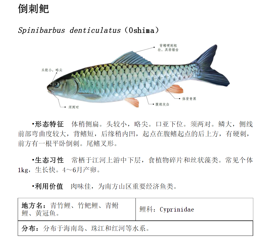 3种让所有钓鱼人头疼的鱼情 这样解决 鱼获轻松翻2倍 腾讯新闻