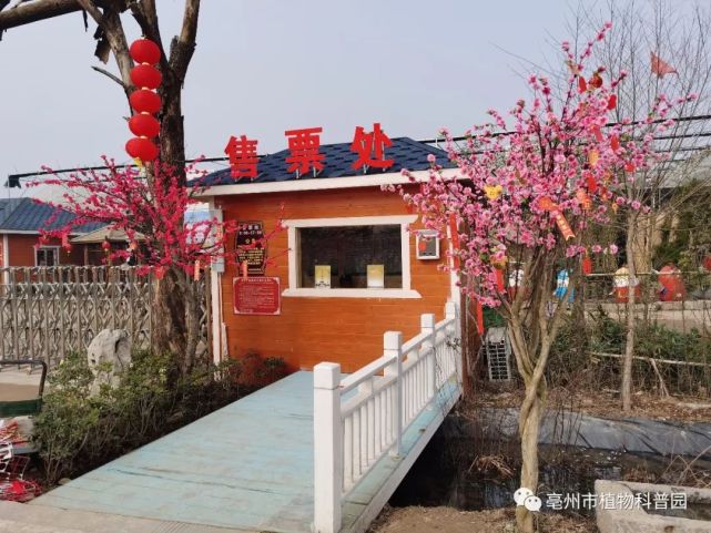 亳州市植物科普园将建成开放更多植物科普关注这里