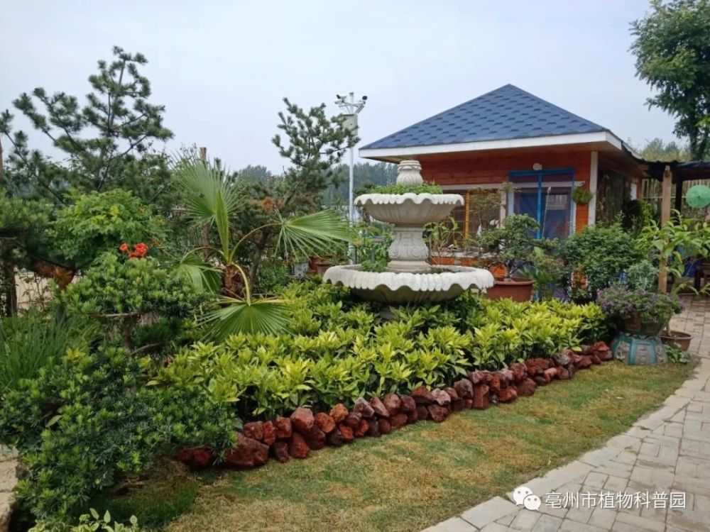 亳州市植物科普园将建成开放更多植物科普关注这里