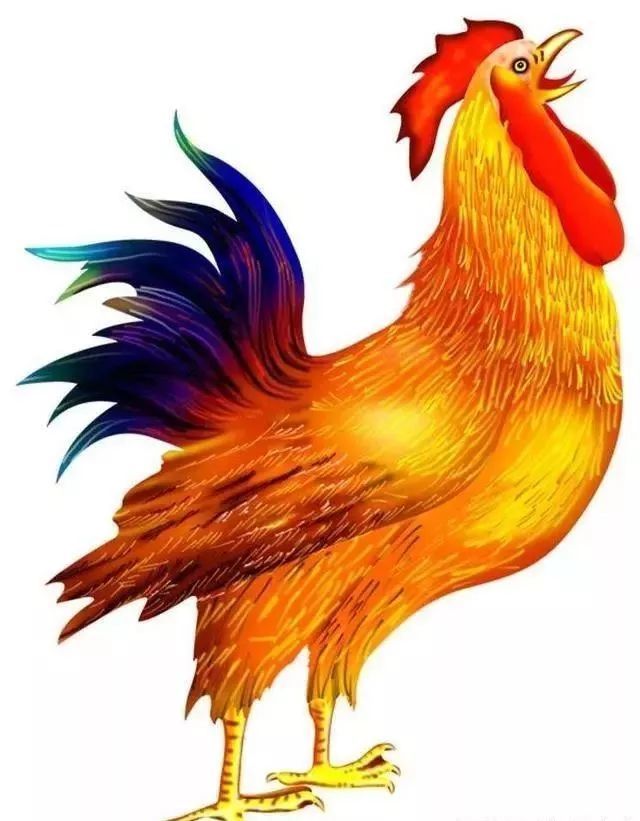 鸡叫了,天会亮,鸡不叫天也会亮,天亮与不亮鸡说了不算,关键是天亮亮 