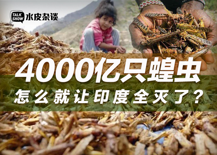 挡不住的4000亿蝗虫怎么就让印度灭了
