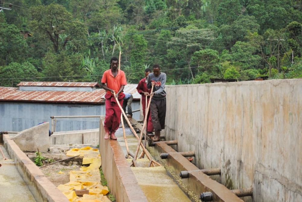 水洗处理法步骤及其特点详解