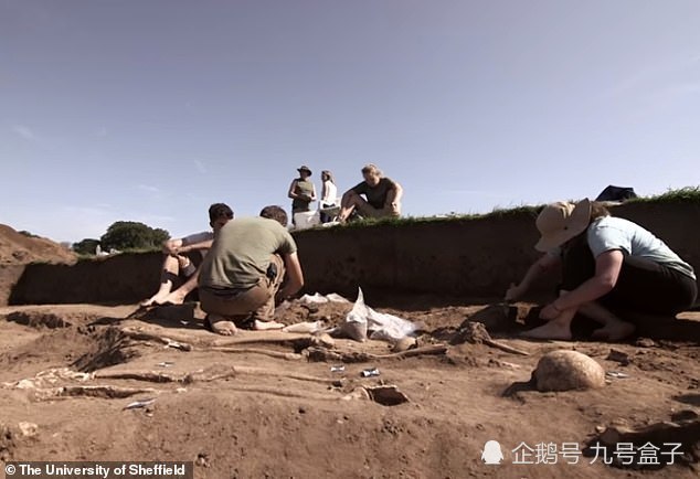 废弃修道院地下挖出48具尸骨 全部死于古代传染病 腾讯新闻