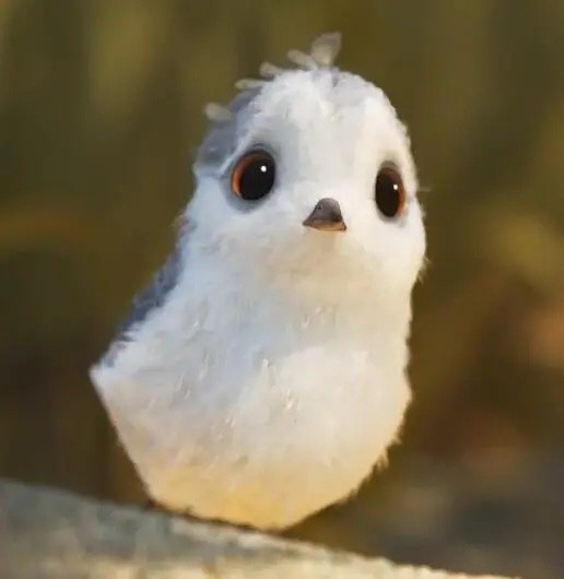 动画短片《鹬》,一个六分钟的成长故事!