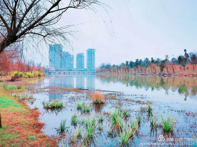 135平方公里萍水河湿地公园手机下的风光