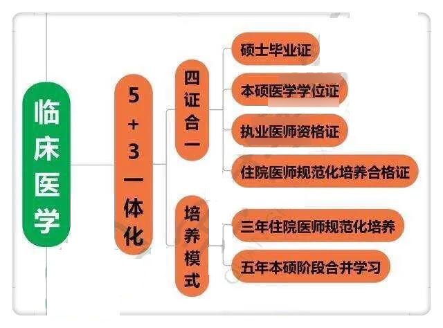 5年和5 3医学分数差多少 如何选 学姐 建议5 3 性价比高 腾讯新闻