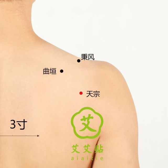 小肠经上的穴位,位于胸背部,与心肺相近,又是阳气聚集之处,艾灸这个