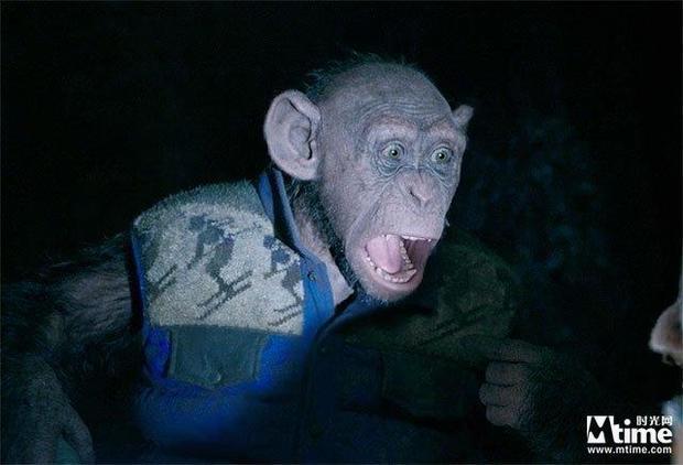 迪士尼新版猩球崛起不是重启作品