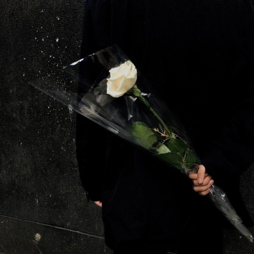 背景图 个性签名 我曾踏月而来 只因你在山中 腾讯新闻