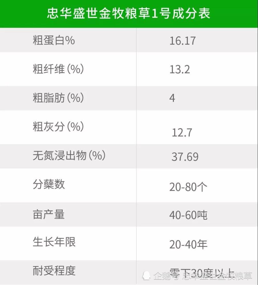 忠华盛世金牧粮草i 草中 牧草典范 我们的动态 四川忠华盛世生态农业有限公司