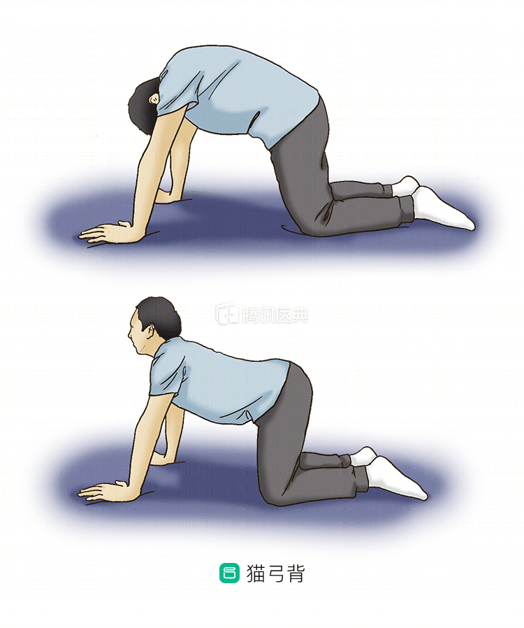 腰痛的克星找到啦学会这8个动作帮你缓解腰痛减缓衰老男女都要知道