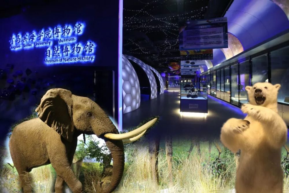 西海岸新区8科普教育基地向全国医护工作者免费开放