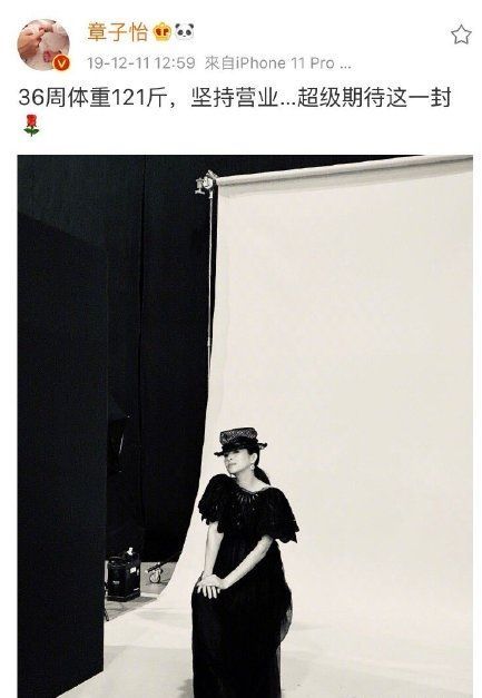 章子怡二胎临盆前孕照登时尚杂志封面 遭网友吐槽怀孕了还化妆捞金 章子怡 汪峰