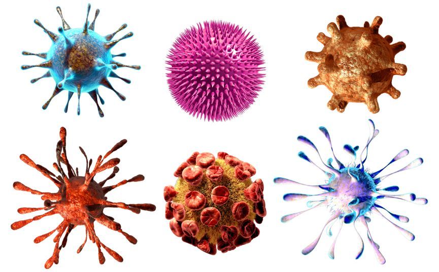 病毒与人类的战争下人类守望者