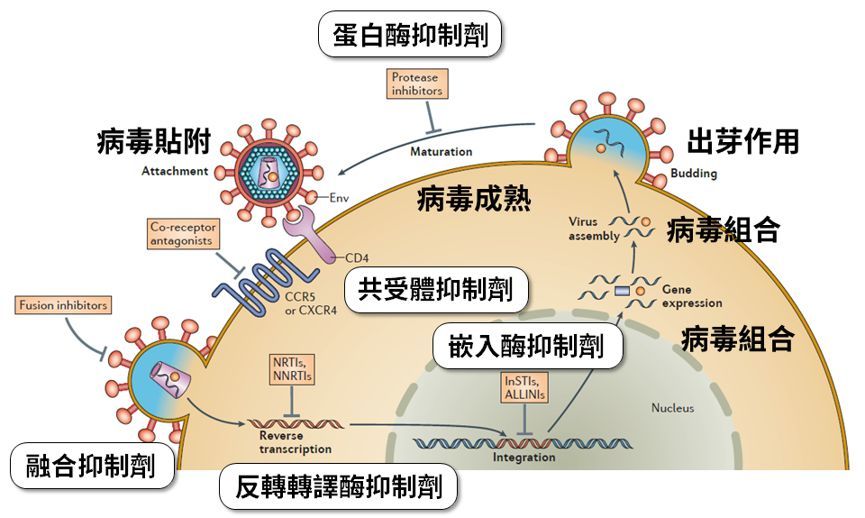 病毒與人類的戰爭(下):人類守望者