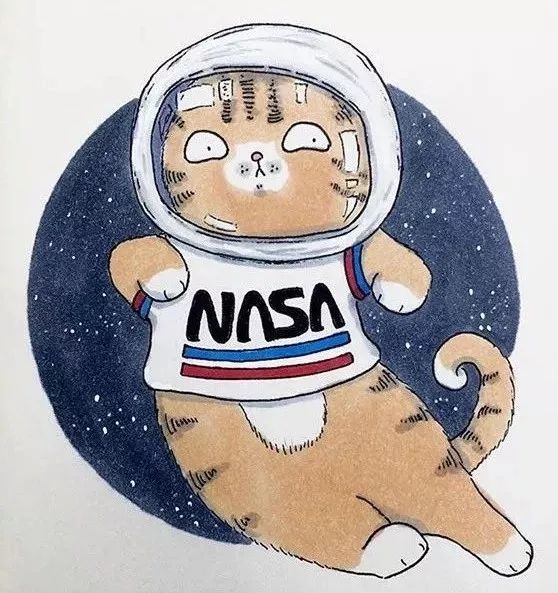 谷歌:"用搜狗搜狗,用google搜猫"supreme:"每一只猫都散发着潮的气味"