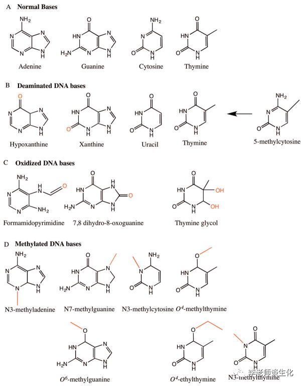 腾讯内容开放平台