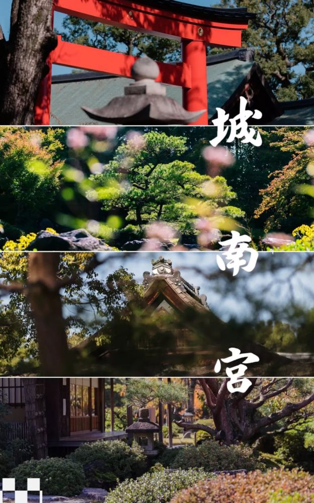 城南宫:四季缱绻,祭典风流