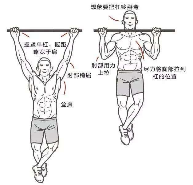 如何从零到能做一个标准的引体向上,学会这五个步骤,轻松搞定